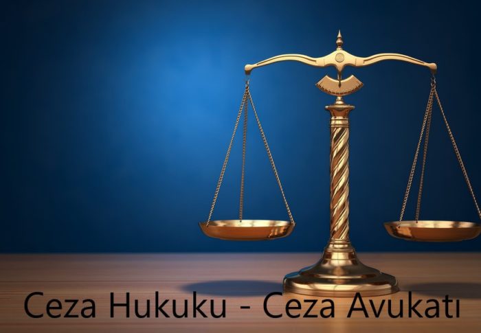 Nitelikli Dolandırıcılık Savunma Dilekçesi