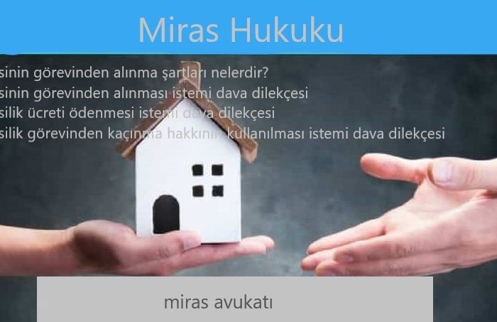 Vasinin Görevden Alınması  İstemi Dava Dilekçesi